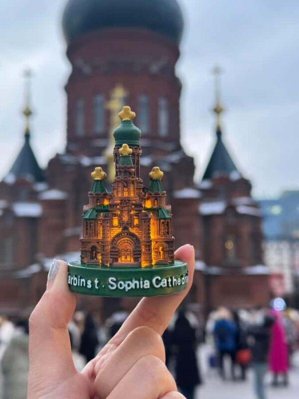 Harbin: Local Markets, Central Street, & Flexible Itinerary - Who Is This Tour Best Suited For?  