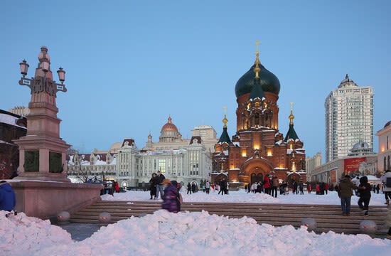 Harbin Private Day Tour | Northeast Tiger Forest Park + Sun Island - Price and package choices: compare the whole day