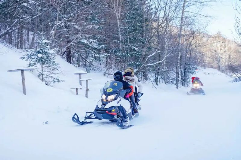 Harbin Snow Country Yabuli Hengdaohezi Private 5-Day Tour - Yabuli skiing or Jingpo Lake ice