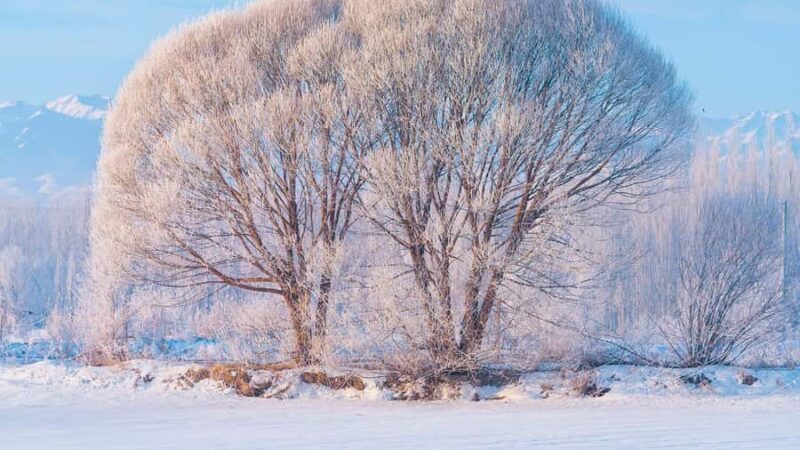 Harbin: Snow Town Day Trip with Sleigh Ride & Snowmobile - Good To Know