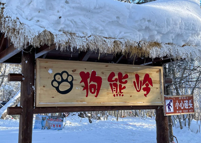 Harbin Snow Village & Yabuli 2-Day Winter Exploration Tour - Snow Village: a named stop with details to confirm