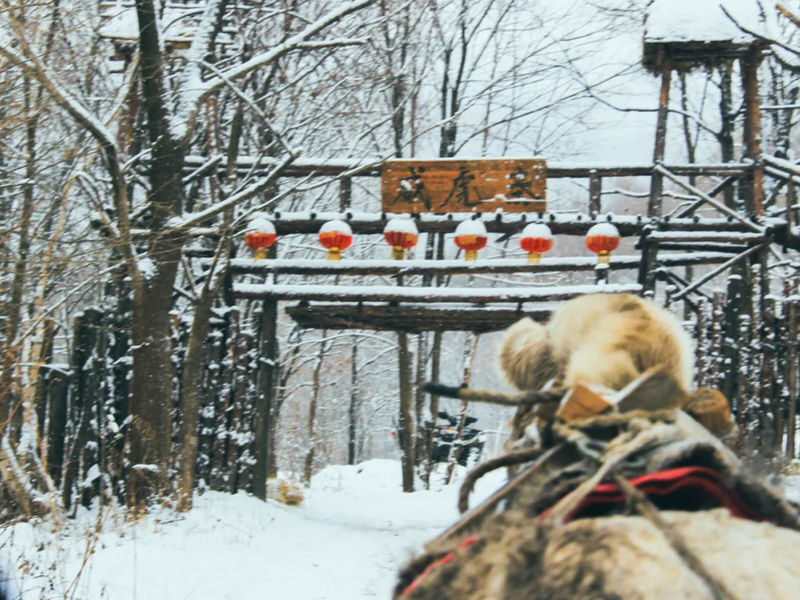 Harbin-Yabuli Ski Day Trip | Includes Direct Bus + Ski Equipment + Full-Day Skiing - From Harbin to Yabuli, with a very early start