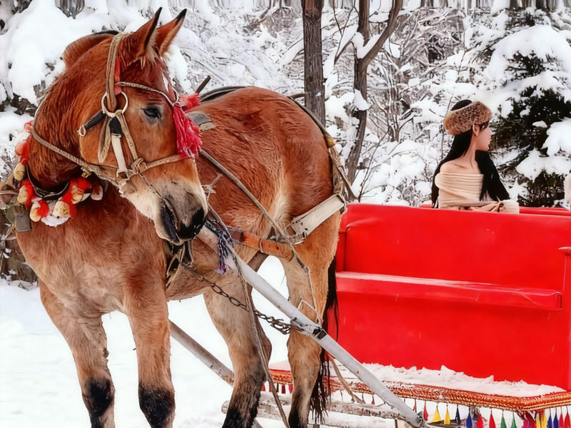 Harbin-Yabuli Ski Day Trip | Includes Direct Bus + Ski Equipment + Full-Day Skiing - Lunch, warmth and the rhythm of the day