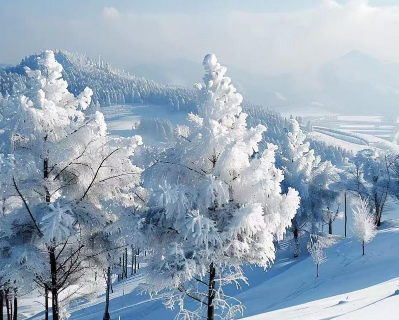Harbin Yabuli Ski Day Trip (Ski Ticket Included) - Iron-pot stew, with an important group-size condition