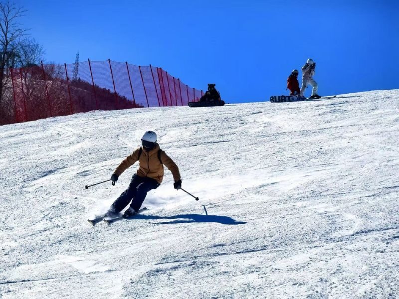 Harbin Yabuli Ski Day Trip (Ski Ticket Included) - Who should book this Yabuli day trip?