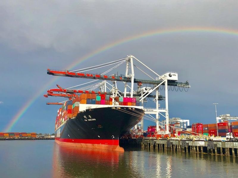 Harbor Cruise Experience from West Harbor, Los Angeles - A short cruise through a giant working harbor