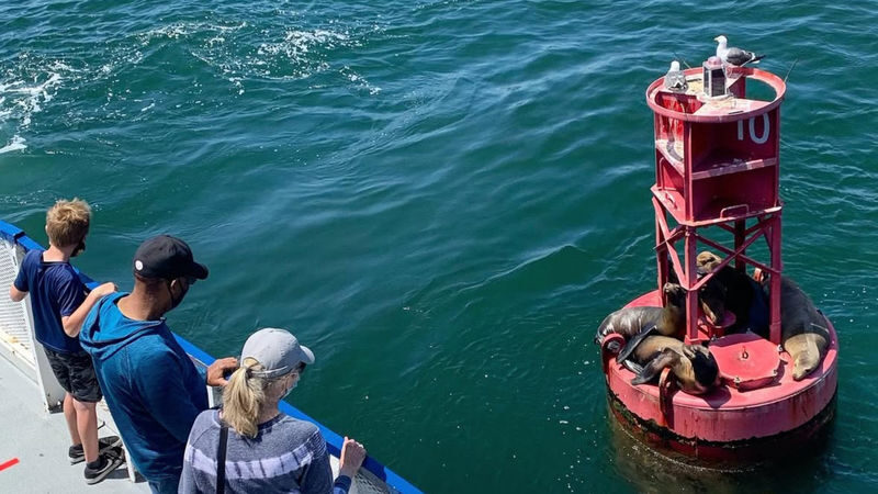 Harbor Cruise Experience from West Harbor, Los Angeles - What the route brings into view