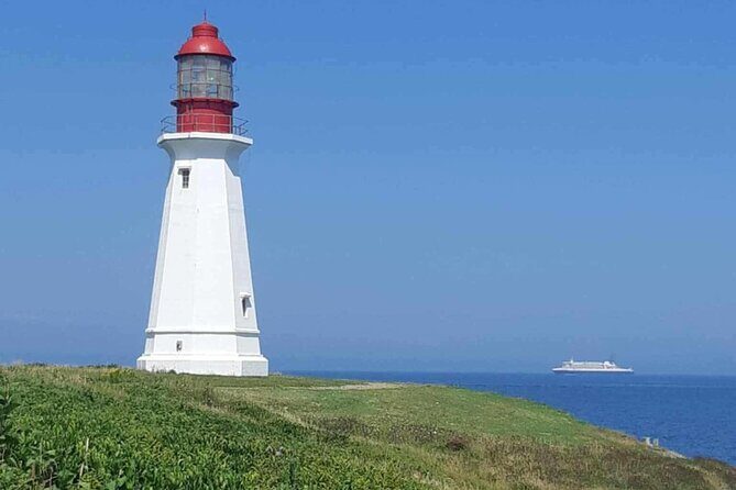 Harbor Highlights: Sydney City Tour - Good To Know