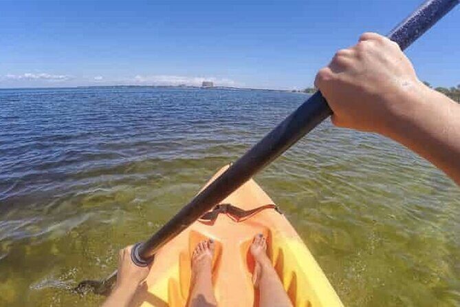 Harbor Kayak Rental in Destin, Florida - Exploring Destin by Kayak: What’s Included and What to Expect