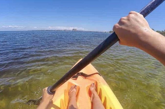 Harbor Kayak Rental in Destin, Florida - The Experience in Action: What You Might Expect