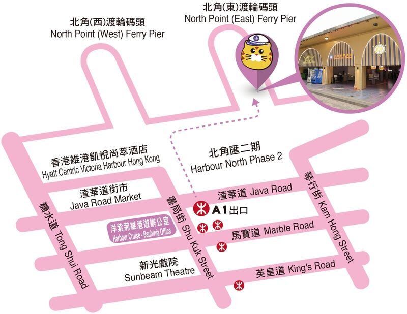Harbour Cruise - Bauhinia - Who will enjoy this cruise most?