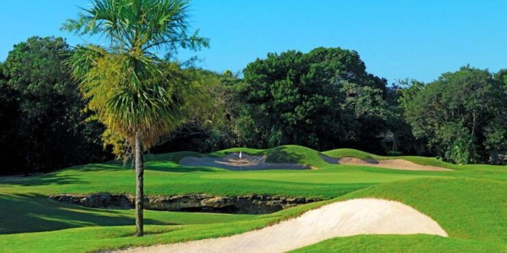 Hard Rock Golf Club - Golf Course Overview