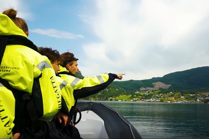 Hardangerfjord Fast Boat Tour From Øystese  - Western Norway - Overview and Experience