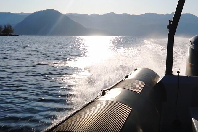 Hardangerfjord Fast Boat Tour From Øystese  - Western Norway - Reviews