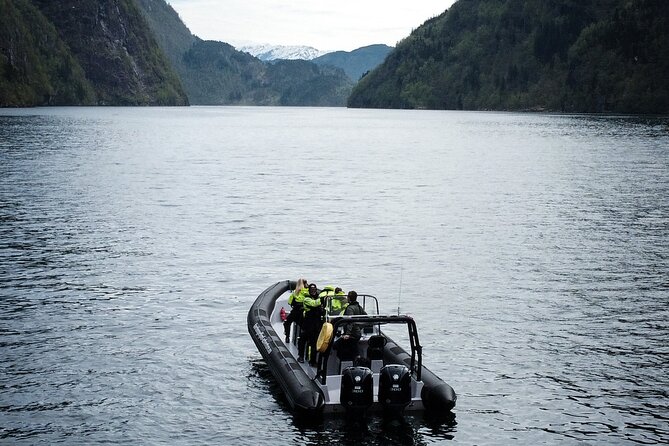 Hardangerfjord Fast Boat Tour From Øystese  - Western Norway - Common Questions