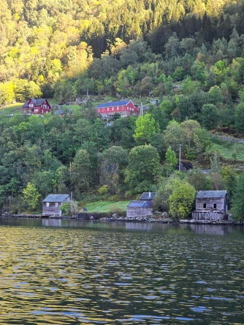 Hardangerfjord: Guided Kayak Tour - What to Expect from the Hardangerfjord Guided Kayak Tour