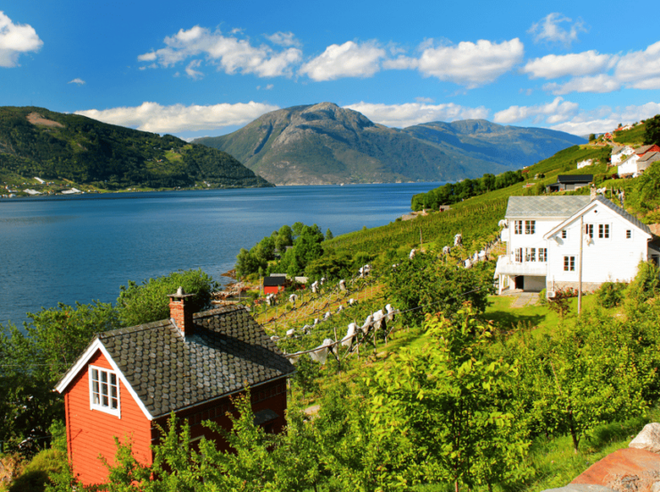 Hardangerfjord Lunch at Cider Farm, Coffee at Historic Hotel - Good To Know