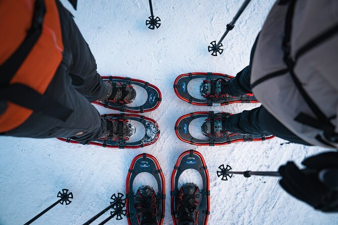 Hardangerfjord Winter Wonders on a Exclusive Guided Snowshoe Hike - Exclusive Guided Snowshoe Hike