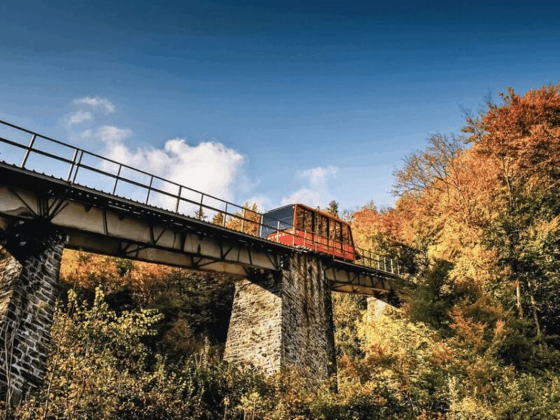 Harder Kulm and Grindelwald Private Day Trip - The Scenic Landscape and Optional Walks