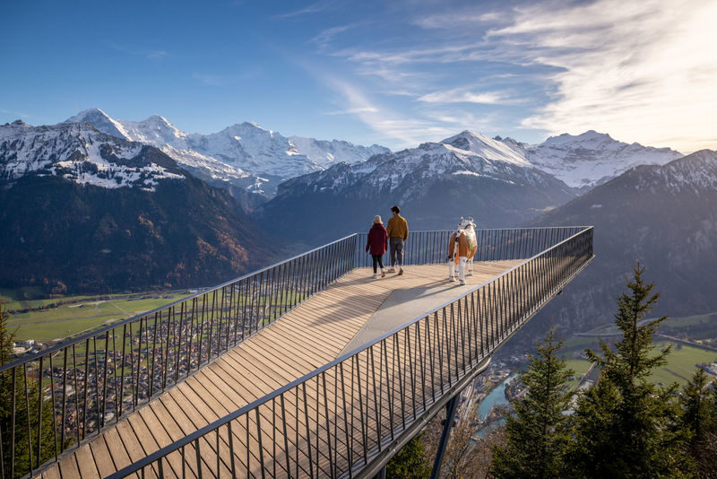Harder Kulm - Top of Interlaken Funicular Ticket - The quick climb from Interlaken to Harder Kulm