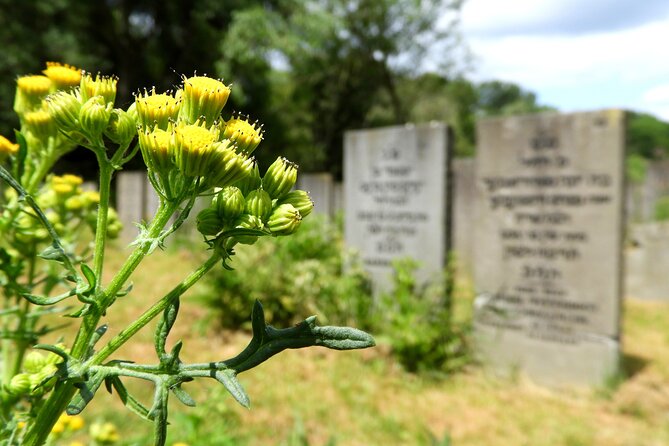 Hardships of the Past Amsterdam WW2 Walking Tour - Anne Frank House