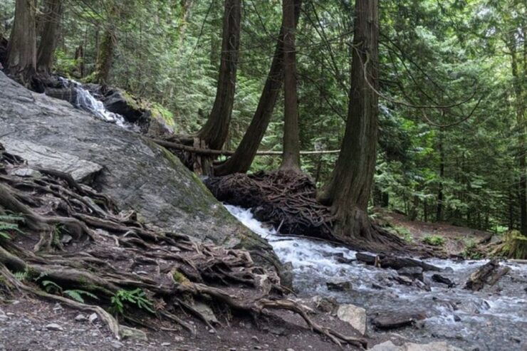 Harrison Day Trip Harrison Hot Springs Private - Experience Details
