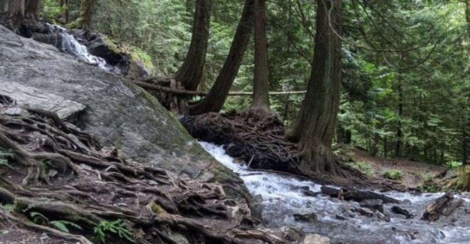 Harrison Day Trip Harrison Hot Springs Private - Pickup Location Details