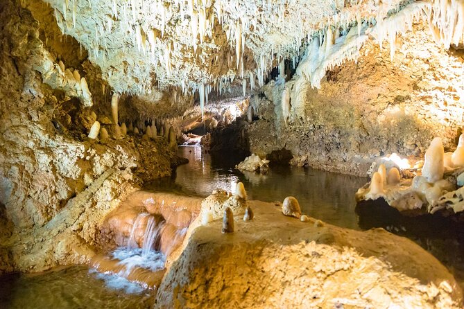 Harrisons Cave Tour in Barbados - Tour Highlights
