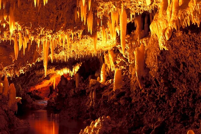 Harrisons Cave Tour in Barbados - Inclusions and Amenities