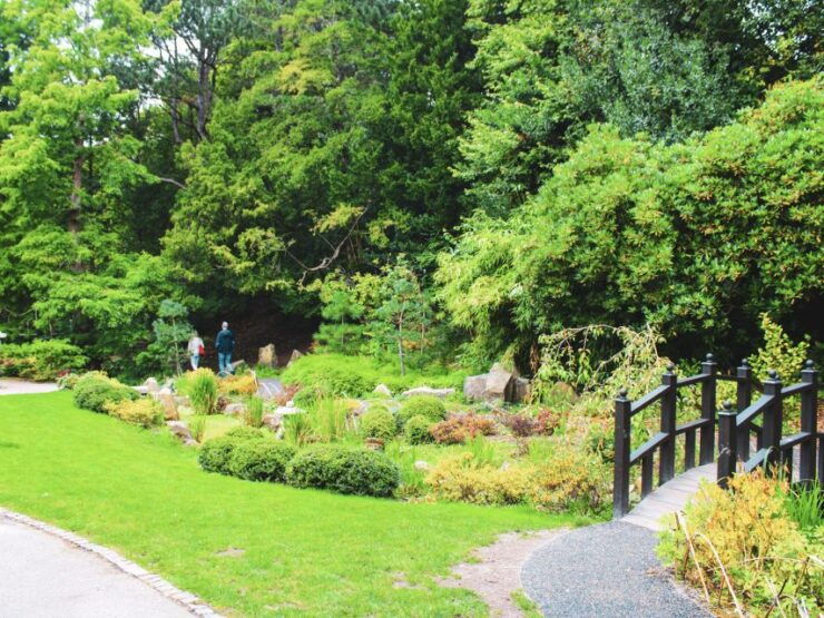 Harrogate: Exploration Game With Pubs & Cafes - Activity Details and Benefits