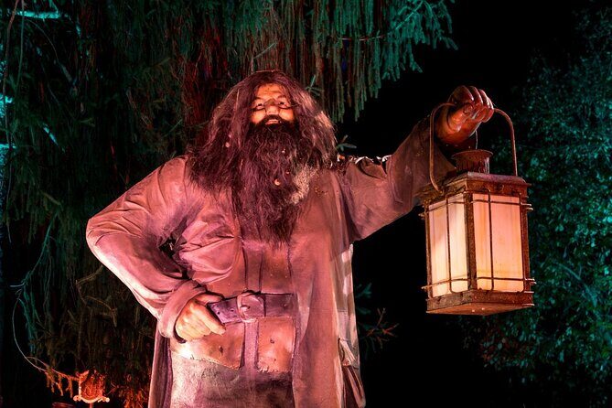 Harry Potter A Forbidden Forest Experience in Brisbane Australia - A Unique Nighttime Journey into the Wizarding World