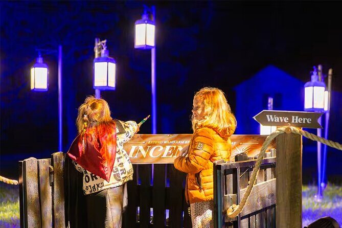 Harry Potter A Forbidden Forest Experience in Brisbane Australia - The Experience Itself: What to Expect