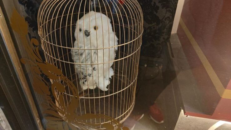 Harry Potter in London - Private Walking Tour - Availability and Itinerary