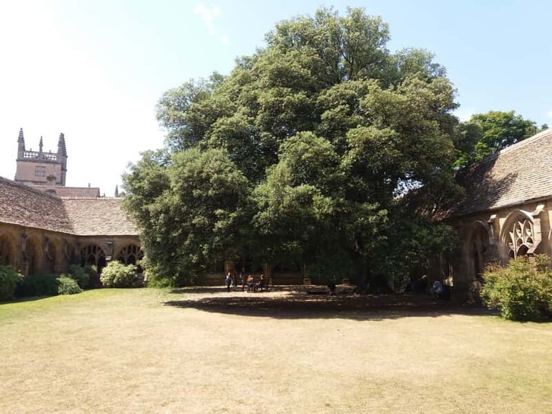 Harry Potter Tour New College Private Group Tour - The Experience: What to Expect on the Tour