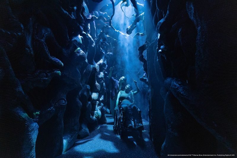 Harry Potter: Visions of Magic - How long to allow, and when to visit