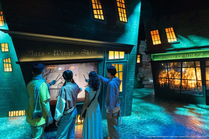 Harry Potter: Visions of Magic - What the ticket and voucher are worth