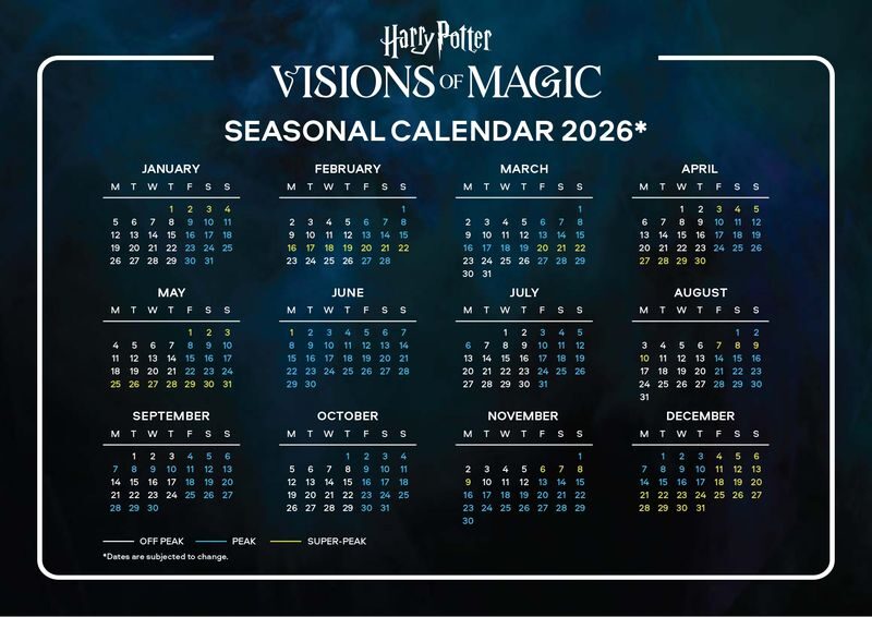 Harry Potter: Visions of Magic - Should you book Harry Potter: Visions of Magic?