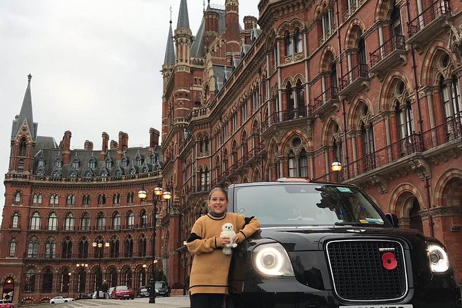 Harry Potters Magical Black Taxi Tour London - Tour Highlights