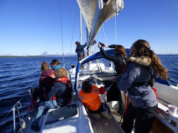 Harstad: Fjordcruise Sailing With Skipper - Activity Details