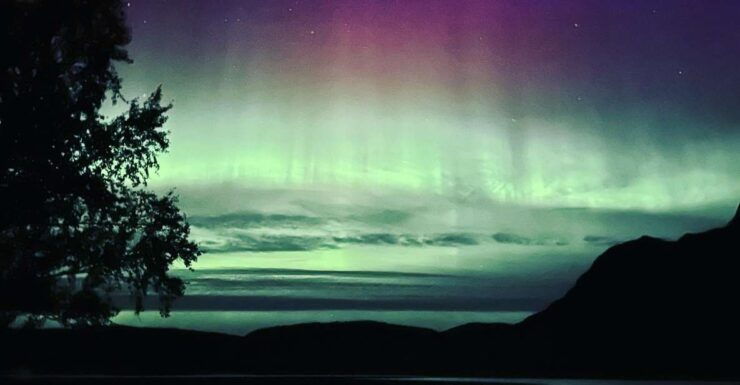 Harstad/Narvik/Tjeldsund: Northern Lights Sightseeing by Car - Tour Highlights