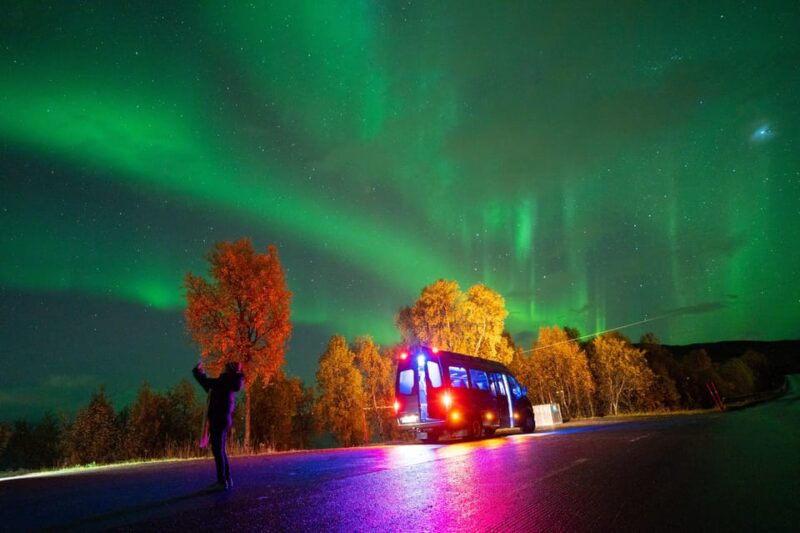 Harstad: Northern Lights Hunt on Hinnøya Island - Exploring the Northern Lights Hunt Experience