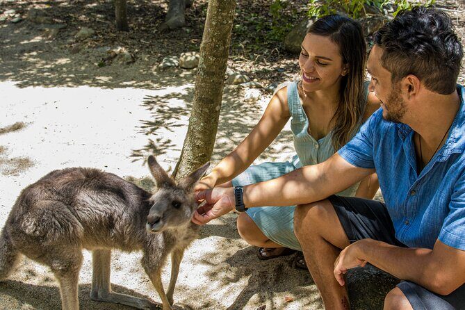 Hartley Crocodile Park with Kuranda, Skyrail Cableway and Train - Who Should Consider This Tour?