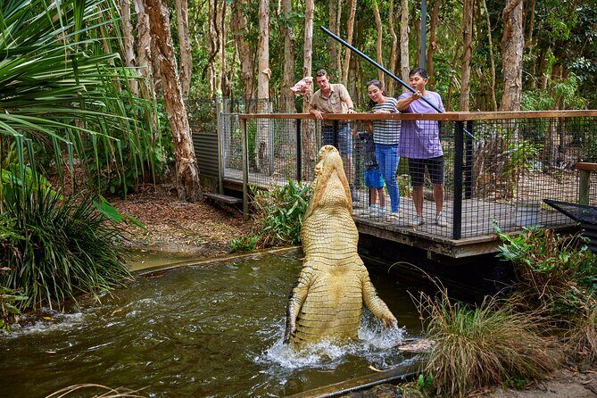 Hartley Crocodile Park with Kuranda, Skyrail Cableway and Train - FAQ