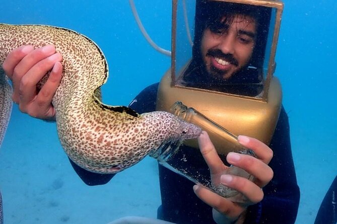 Hartley Helmet Diving in Bermuda - Common Questions