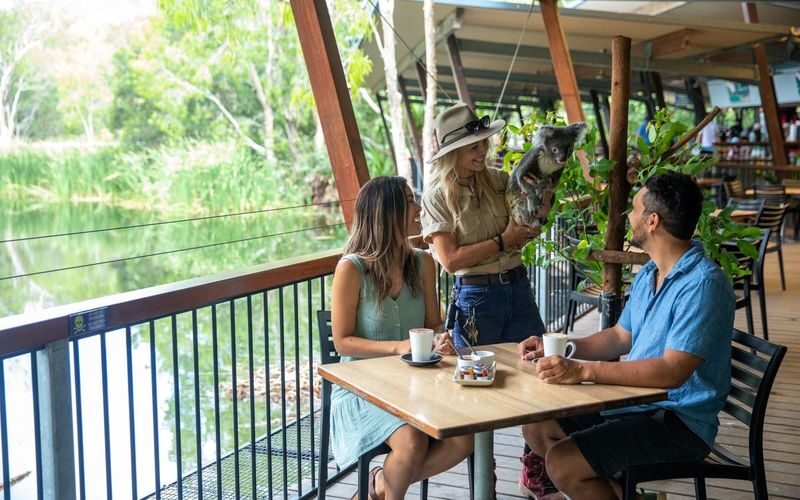 Hartleys Crocodile Adventures Ticket - Plan around the daily presentations