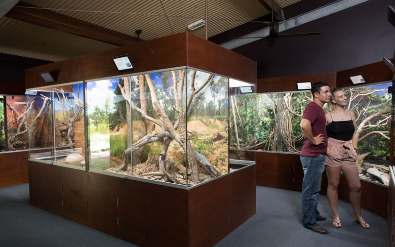 Hartleys Crocodile Adventures Ticket - Understand the farm as well as the conservation message