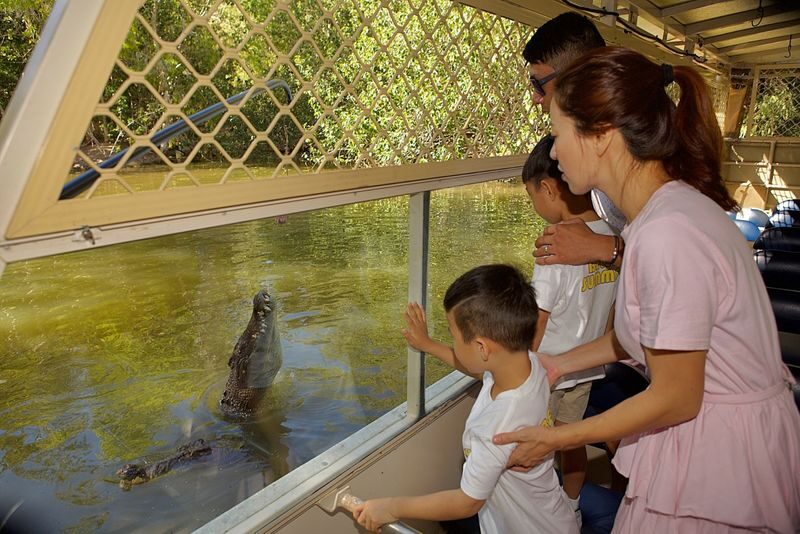 Hartleys Crocodile Adventures Ticket - Breakfast with koalas is a separate early start