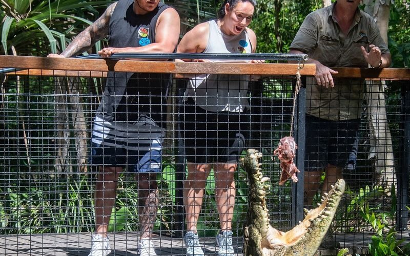 Hartleys Crocodile Adventures Ticket - Allow three to four hours, or stay longer