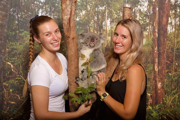 Hartley's Crocodile Adventures: Breakfast With Koalas - Experience Highlights at Hartleys Crocodile Adventures