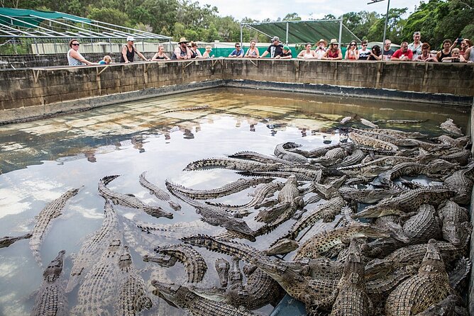 Hartleys Crocodile Adventures Day Trip From Cairns - Directions